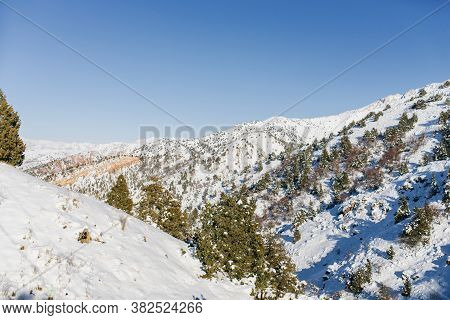 Landscape At The Beldersay Ski Resort In The Tien Shan Mountains In Uzbekistan In Winter. Mountains 