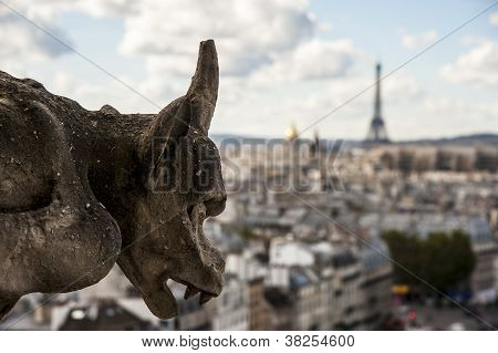 Chimera su Notre Dame di Parigi
