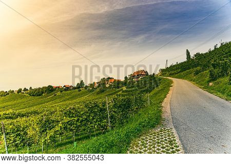 Vineyard Landscape At South Styrian Wine Road In Austria. Famous Tuscany Like Tourist Spot For Wine 