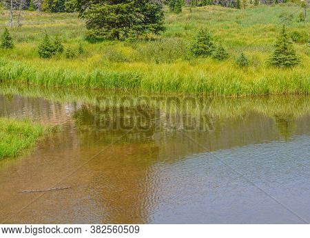 Beautiful Mountains, Forest And Landscape Near Monarch Pass In The Rocky Mountains Of Colorado