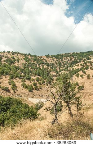 Mountain view - Parque Nacional Olympus
