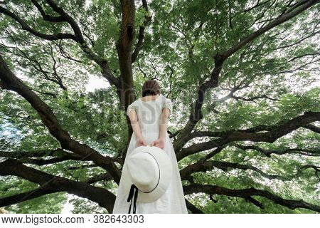 Back Side Of Woman Wearing White Dress Standing Under The Giant Monkey Pod Trees In Kanchanaburi, Th