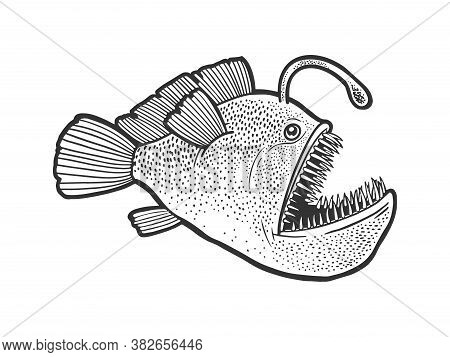 Angler Deep Sea Fish With Light Sketch Engraving Vector Illustration. T-shirt Apparel Print Design. 