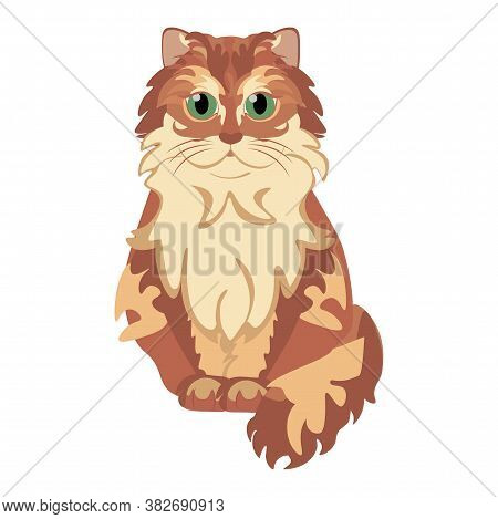 Isolated Cat American Bob Tail Breed Animals Icon - Vector