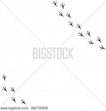Vector Background With Bird Trail On The Right Side. Black Bird Footprints Track