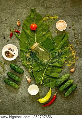 Pickled Cucumbers Background. Cucumbers, Dill, Peppers, Spices, Peppercorns, Horseradish Leaves, Cur