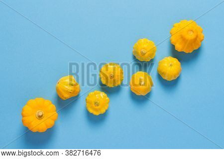 Fresh Harvest Of Zucchini And Pattison, Yellow Squash And Pattison On Blue Background