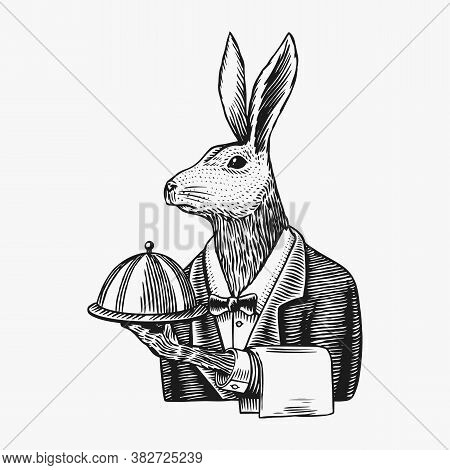 Hare Waiter With A Dish. Rabbit Flunky Or Garcon. Fashion Animal Character. Hand Drawn Sketch. Vecto