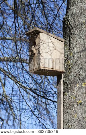 An Ordinary Wooden Birdhouse Is Installed On The Trunk Of An Old Tree, A Hand-made Birdhouse Made Fr