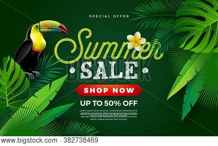 Hello Summer Sale Design Background. Tropical Vector Special Offer Illustration With Coupon, Voucher