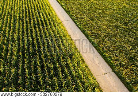 Areal View Of Crop Fields In Sunny Summer Day. Agriculture Concept