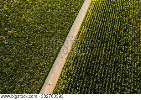 Areal View Of Crop Fields In Sunny Summer Day. Agriculture Concept