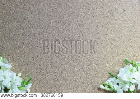 Frame Made Of White Flowers On A Brown Background, Flat Lay, Copy Space,border Design.