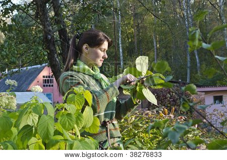Uma jovem mulher cuidar de flores.