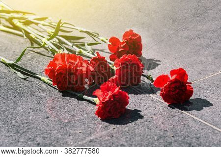Carnations On A Marble Slab Close-up. Laying Flowers On The Memorial. Day Of Remembrance And Mournin