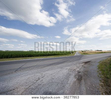 open fields