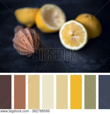Juicing fresh lemons with a wooden juicer, focus on tip of juicer. in a colour palette with complimentary colour swatches.