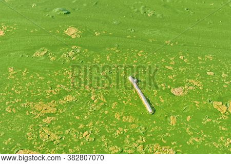 Environmental Water Pollution. Polluted River - Dirty Green Water, Garbage, Waste And Trash. Harmful
