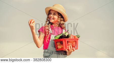 Dinner Pause. Little Girl Vegetable In Basket. Only Natural. Harvest Vitamin. Spring Market Garden. 