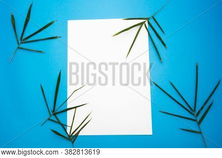 Blank Paper Concept For Text With Frames Adorned With Bamboo Left And Blue Paper Background.