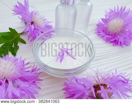 Cream Cosmetic Flower On Wooden Background Echinacea