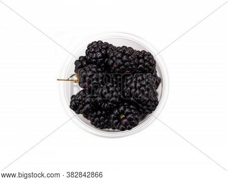 Ripe Garden Blackberry On Stems In A Clear Plastic Cup Isolated On A White Background. The Blackberr