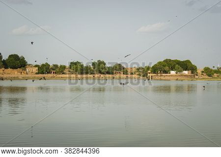 Bats Flying Over A Lake In The Evening