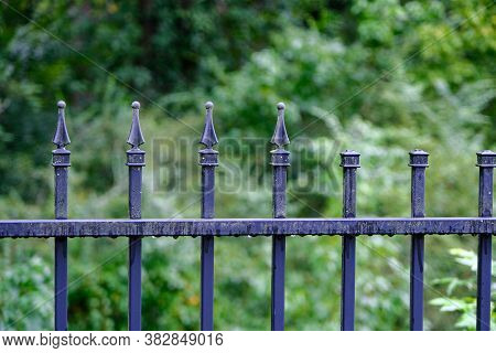 A Wet Bladk Wrought Iron Fence After A Rain