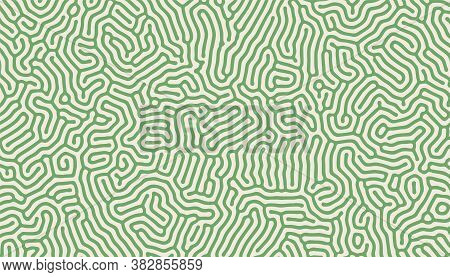 Turing Pattern Structure Oraganic Lines Background Design Vector