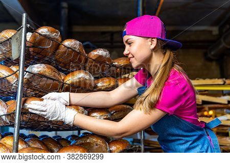 Young Happy Female Worker In Sterile Cloths Holding Freshly Baked Muffins On Tinplate Inside Food Pr