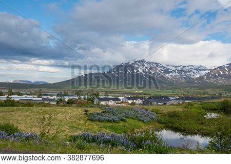 Town Of Dalvik In North Iceland On A Sunny Summer Day