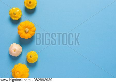 Fresh Harvest Of Zucchini And Pattypan Squash, Yellow Squash And Pattison On Blue Background