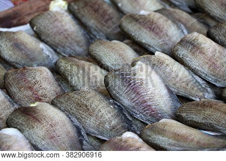 Dried Fish Of Trichogaster Pectoralis Fish, Background Texture Of Dried Fish.