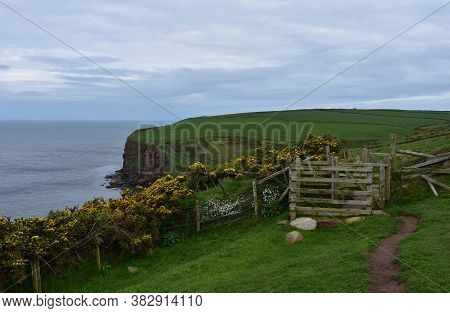 Scenic Coast To Coast Pathway With A Gate Between Fields.