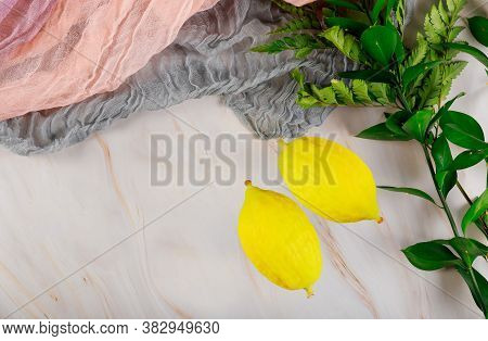 Religious Jews Choose Etrog Fruit Traditional Of Ritual Plants On The Eve Of Sukkot.
