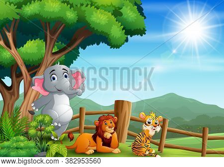 Wild Animals Sitting And Enjoying At The Zoo