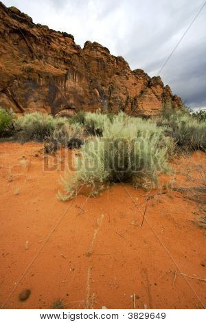 Snow Canyon - Utah