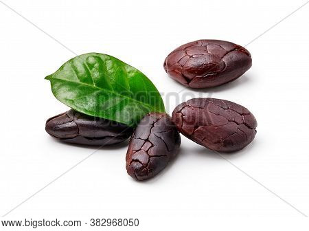 Cocoa Beans With Cocoa Leaf Isolated On White