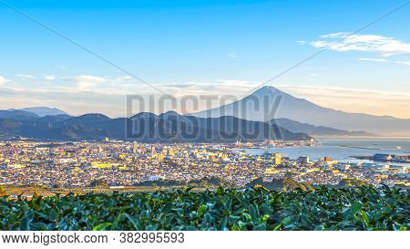 Sunrise Over Mt. Fuji / Fuji Mountain And Fresh Green Tea Field At Nihondaira, Shizuoka, Japan