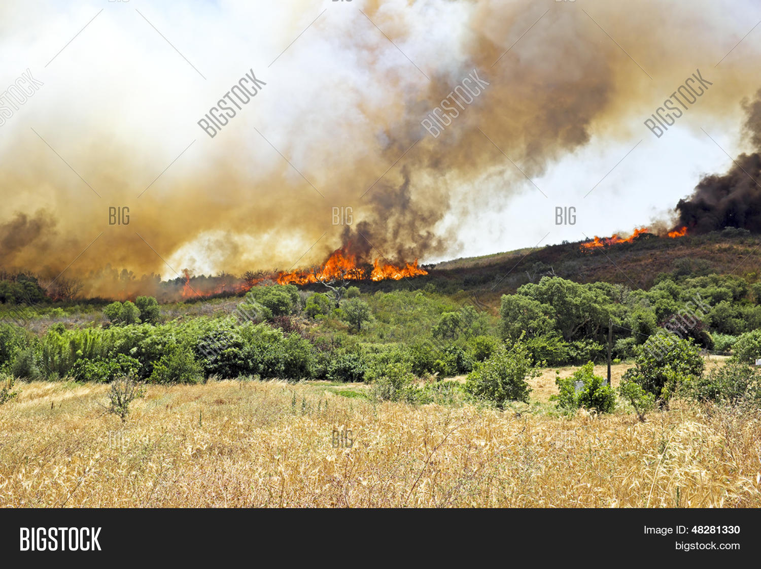 Huge Bush Fire West Image & Photo (Free Trial) | Bigstock