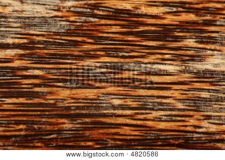 Antecedentes de madera