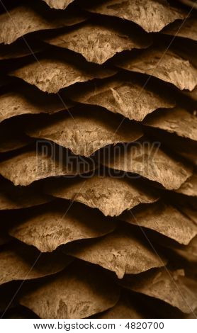 Macro de un cono