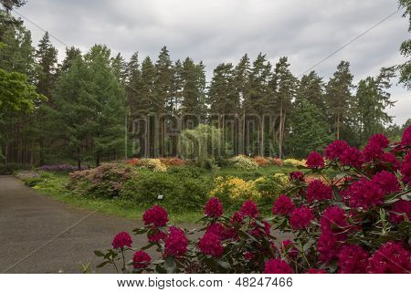 Paradiesgarten auf der Erde