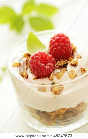 čerstvý jogurt s müsli a ovocem