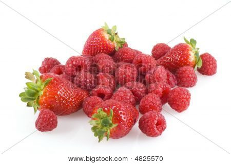 Summerfruits 절연입니다.