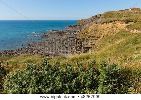 Water Cove Widemouth Bay Cornwall England UK on a beautiful summer day