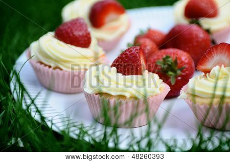 Jordbær og vanille Cupcakes på græs