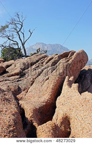Freycinet NP ทัสมาเนีย ออสเตรเลีย