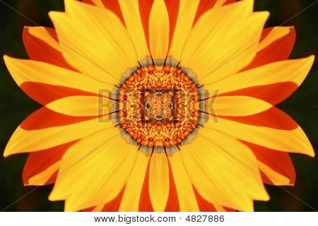 Blomma Illustration