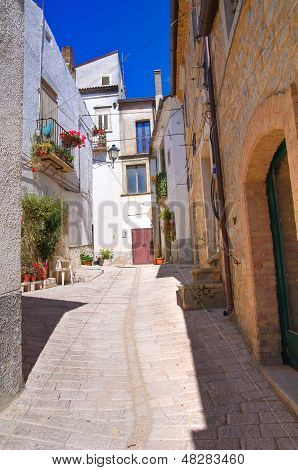 路地。・ アルベローナ。プーリア。イタリア。
